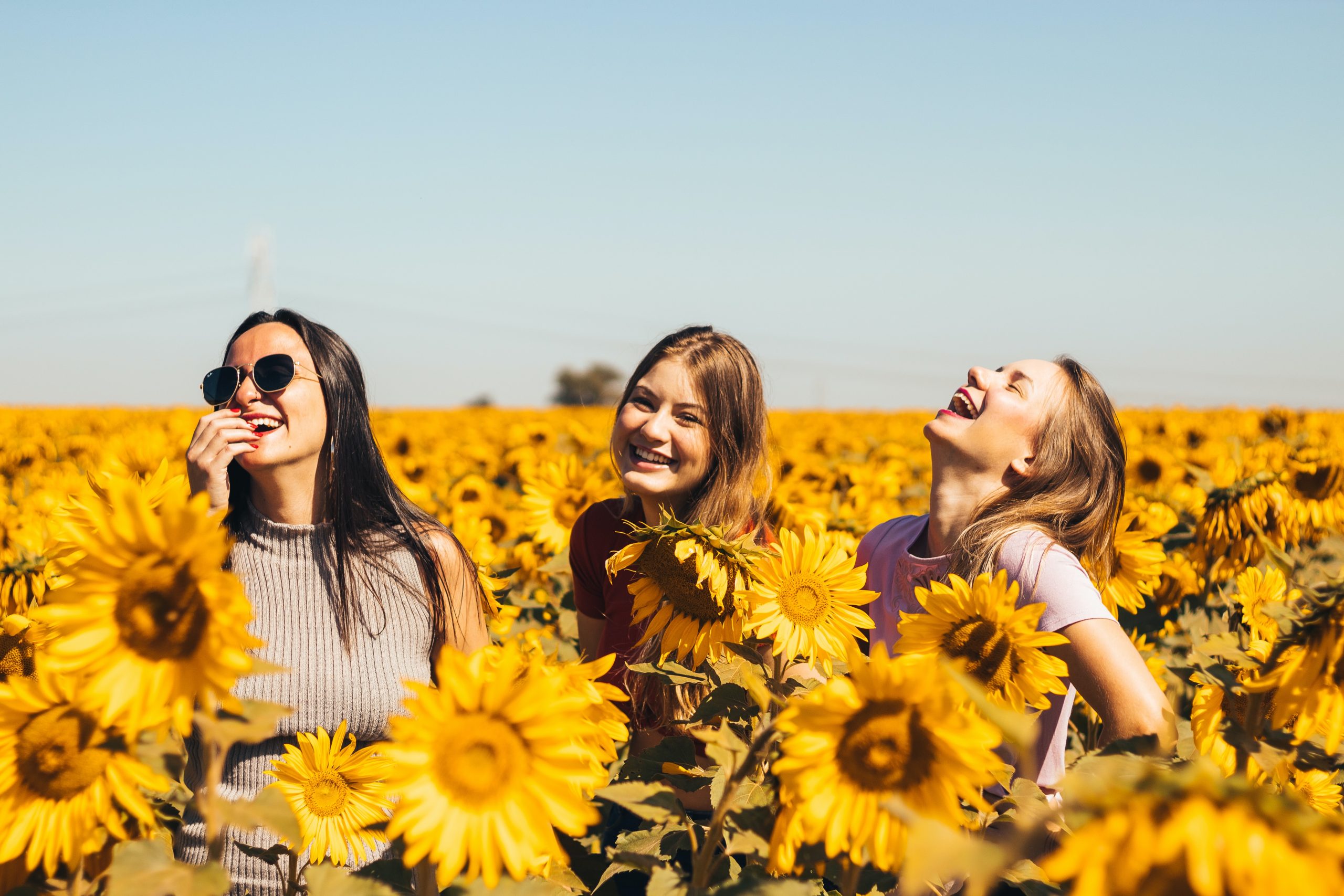 Confident, happy women in a sunflower field.